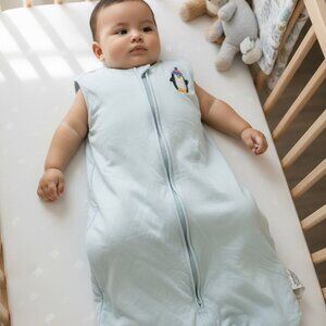 HALO SleepSack Wearable Blanket Penguin 6 12 Months Light Blue